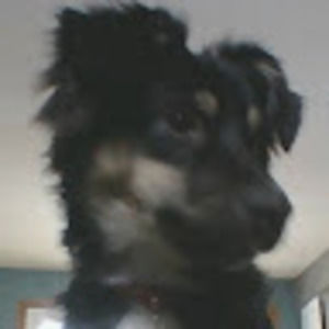 Meet your Posher, Halle